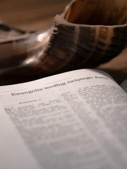 john macarthur bible commentary pdf john macarthur bible commentary pdf