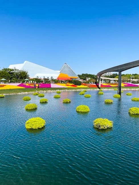 eye found it disney instructions